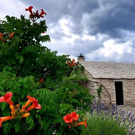 Hacienda *