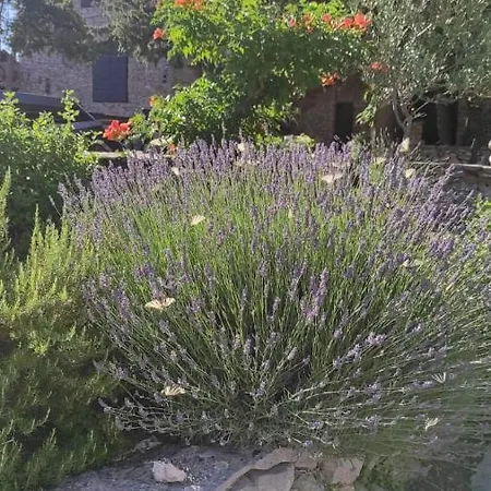 בית נופש Hacienda *