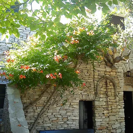Hacienda Hébergement de vacances